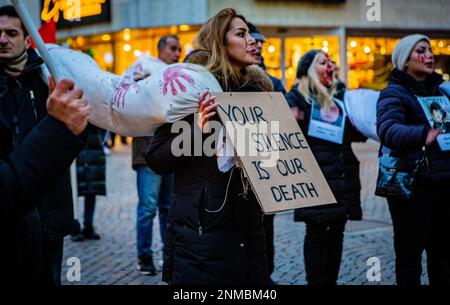 Demonstration für die Freiheit iranischer Frauen in Malmö, Schweden Stockfoto