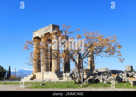 Verbleibende Säulen des Apollontempels im antiken Korinth Griechenland mit Baum im Vordergrund und schneebedeckten Bergen in der Ferne Stockfoto