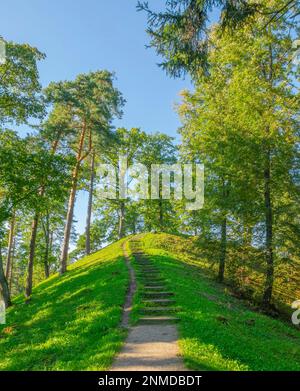 Weg und Treppe zum Gipfel des grünen Hügels Stockfoto