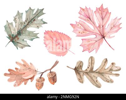 Herbstblätter von Hand in Aquarellfarben. Herbstfarben mit verblassten Blättern und Blumen, Herbstelemente für Design. Stockfoto