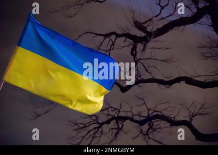 Danzig, Polen. 24. Februar 2023 Protest im ersten Jahrestag der russischen Invasion in der Ukraine © Wojciech Strozyk / Alamy Live News Stockfoto