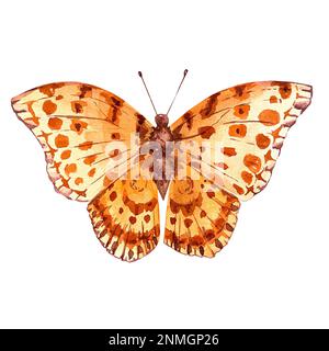 Wasserfarbener Schmetterling auf weißem Hintergrund, handgezeichnet für Produktdesign Stockfoto