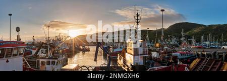 Boot, Schiff, Uig, Hafen, Schottland, Großbritannien Stockfoto