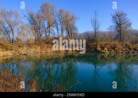 Uferwälder, Haslau Traverse, Donau-Hochwasser-Nationalpark, Haslau an der Donau, Industrieviertel, Niederösterreich, Österreich Stockfoto