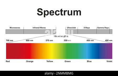 Elektromagnetisches Spektrum, Abbildung Stockfoto