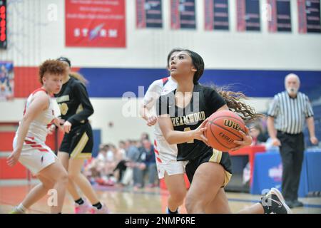 USA. Ein Spieler, der die Grundlinie während eines Basketballspiels in der Highschool-Uni auf dem Weg zum Basketball-Basketball-Basketball-Basketball-Basketball-Basketball-Basketball Stockfoto