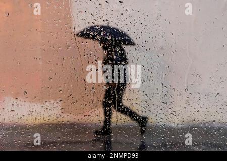 Los Angeles, USA. 24. Februar 2023. Ein Fußgänger trägt einen Regenschirm im Regen in Los Angeles. Schnee, Regen und Hagel fielen heute über Südkalifornien, als ein Wintersturm mit einer Intensität, die seit Jahrzehnten nicht mehr zu sehen war, die Region niederschlug, was zu überfluteten Straßen und einer fast ganztägigen Schließung der Grapevine führte, die das Fahren in der gesamten Region zu einer generell miserablen Erfahrung machte. Kredit: SOPA Images Limited/Alamy Live News Stockfoto