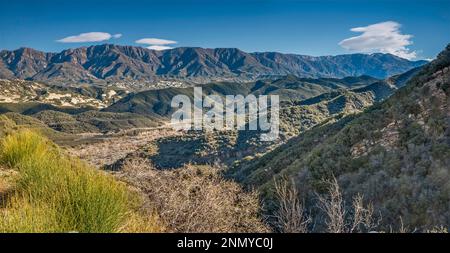 Pine Mountain Massif, Chaparral Zone, Strauch am Straßenrand, Maricopa Highway, Los Padres National Forest, Ventura Ranges, nahe Ojai, Kalifornien, USA Stockfoto