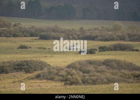 Ein britisches Militär AS90 (AS-90 Braveheart Gun Equipment 155mm L131) panzerte selbstfahrende Haubitze auf einer militärischen Übung, Wiltshire UK Stockfoto