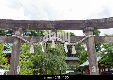Ein heiliges Seil oder Shimenawa und Zickzack-Streuner oder shide am shinto-Schrein, Kanazawa, Japan. Stockfoto