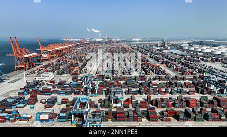 Qinzhou. 25. Februar 2023. Dieses Luftfoto wurde am 25. Februar 2023 aufgenommen und zeigt den Containerterminal am Hafen Qinzhou in Südchina Autonomer Region Guangxi Zhuang. Zum 23. Februar dieses Jahres wurden auf dem neuen internationalen Land-See-Handelskorridor 107.000 TEU-Container mit den intermodalen Schienen-See-Güterzügen transportiert, was einem Anstieg von 9,25 % im Jahresvergleich entspricht. Kredit: Zhang Ailin/Xinhua/Alamy Live News Stockfoto