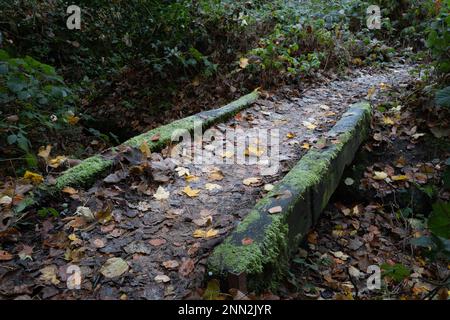 Sehr alte und historische Steinbrücke tief in einem englischen Waldgebiet, bedeckt mit rutschigem Moos und gefallenen Blättern. Stockfoto
