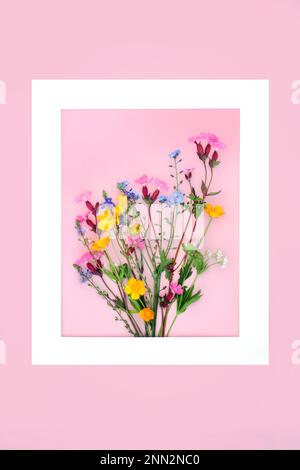 Wildblumen Hintergrund Blumendesign Minimale abstrakte europäische Frühlingsblume Naturzusammensetzung für Valentinstag, Muttertag, Ostern, Geburtstag. Stockfoto