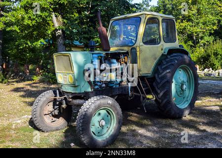 Alter Traktor mit großen Rädern und rostigem Auspuffrohr. Es steht auf dem Hintergrund grüner Bäume. Nahaufnahme. Selektiver Fokus. Stockfoto