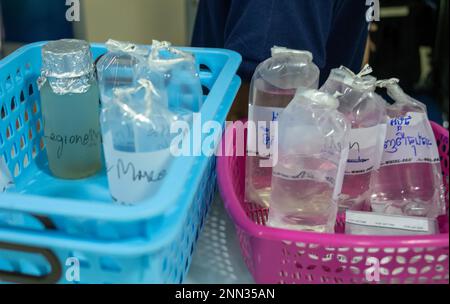 Kunststoffkörbe in einem Wasserprüflabor in Kambodscha mit Wasserproben und Reagenziensätzen. Stockfoto