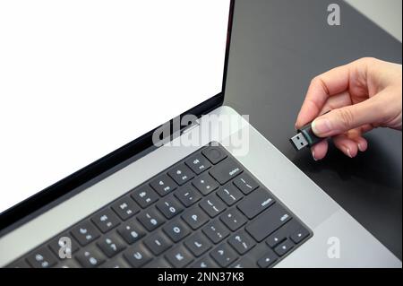 Eine Hand hält ein usb-Flash-Laufwerk über eine Laptop-Tastatur mit einem leeren Bildschirm. Stockfoto
