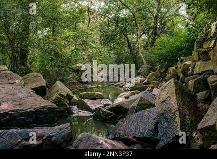 Eine ruhige Dschungellandschaft mit einem kleinen Fluss, der sich durch Felsen im Vordergrund schlängelt und eine friedliche und natürliche Szene schafft. Stockfoto