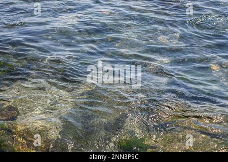 Mit Algen bedeckte Steine am Sandstrand des Meeres in der hellen Sonne und kleinen Wellen. Stockfoto