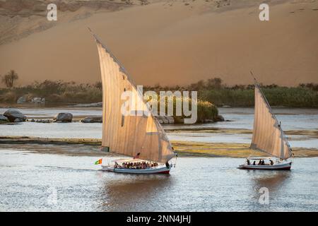 Felucca ist am Nil in Assuan in Ägypten Stockfoto