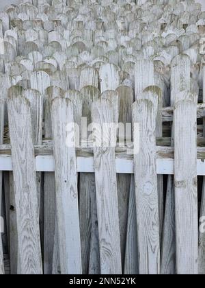 Gartenzäune. Alte weiß bemalte Holzzäune, die übereinander gestapelt sind. Stockfoto