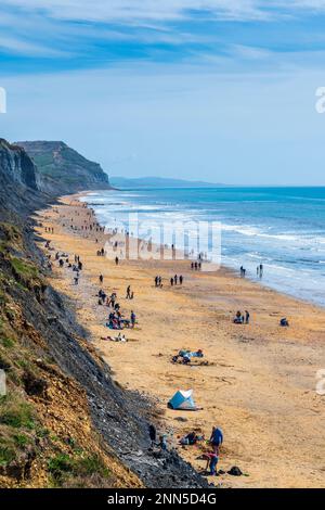 Charmouth, Dorset Area Of Outstanding Natural Beauty, England, Großbritannien, Europa. Stockfoto