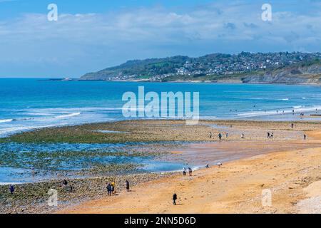 Charmouth, Dorset Area Of Outstanding Natural Beauty, England, Großbritannien, Europa. Stockfoto