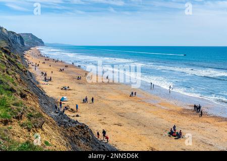 Charmouth, Dorset Area Of Outstanding Natural Beauty, England, Großbritannien, Europa. Stockfoto