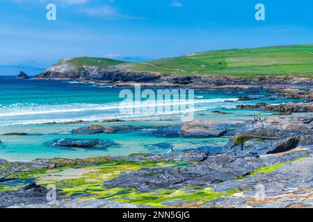 Constantine Bay, Trevose Head Heritage Coast, Padstow, Cornwall, England, Vereinigtes Königreich, Europa Stockfoto