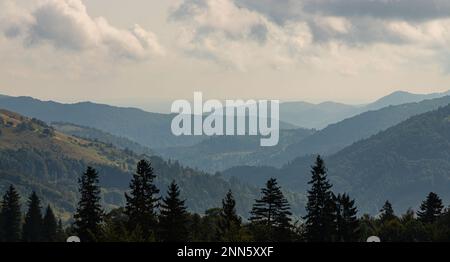 Berghänge in den ukrainischen Karpaten. Berggipfel und Wälder vor dem Hintergrund des blauen Himmels. Stockfoto