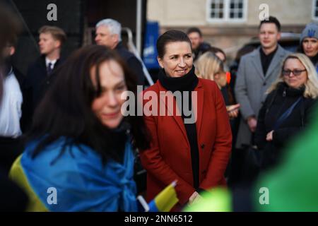 Thibault Savary / Le Pictorium - Pro-Ukraine-Demonstranten versammelten sich vor der russischen Botschaft in Kopenhagen, Dänemark. - 24/2/2023 - Dänemark / Kopenhagen - Am Freitag, den 24. Februar, versammelten Sich Einhundert ukrainische Unterstützer vor der russischen Botschaft in Kopenhagen, um das erste Jahr des Konflikts in Anwesenheit der dänischen Premierministerin Mette Frederiksen und der ukrainischen Botschafterin in Dänemark zu feiern; Der mit der Galerie sprach. Ein aufgezeichnetes Video von Volodolyr Zelenskyj wurde auf eine riesige Leinwand projiziert. Stockfoto