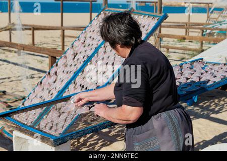 Eine Portugiese, die am Strand Fisch trocknet. Traditionelle portugiesische Snacks Stockfoto