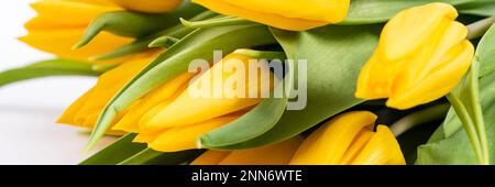 Bündel bunte Tulpen Blumen Stockfoto