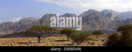 Blick über die felsige Hamada-Landschaft in Wadi Feynan, Al-Sharat, Wadi Araba-Wüste, Südmitte Jordanien, Naher Osten. Stockfoto