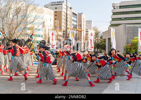 Japanische Kindermannschaft Yosakoi-Tänzerinnen tanzt und hält Naruko auf dem öffentlichen Platz der Stadt auf dem jährlichen Kyusyu Gassai Festival in Kumamoto. Stockfoto