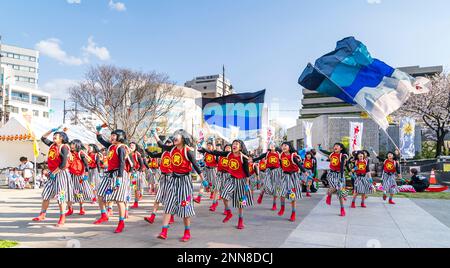 Japanisches Team von Kindertänzerinnen Yosakoi, die beim jährlichen Kyusyu Gassai Festival in Kumamoto Naruko, Capppers, auf dem Stadtplatz tanzten und halten. Stockfoto