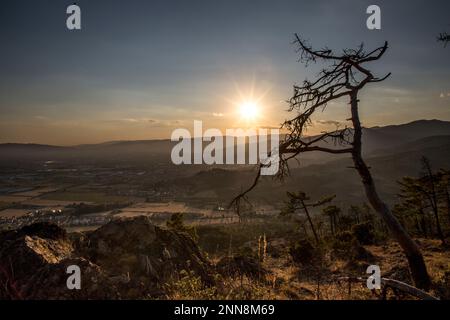 Atemberaubende italienische Landschaften und Tiere, die dort leben Stockfoto