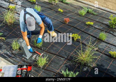 Draufsicht von Gardening Professional Installation eines Tropfbewässerungssystems in einem frisch gestalteten Garten für eine ausreichende Wasserversorgung. Stockfoto