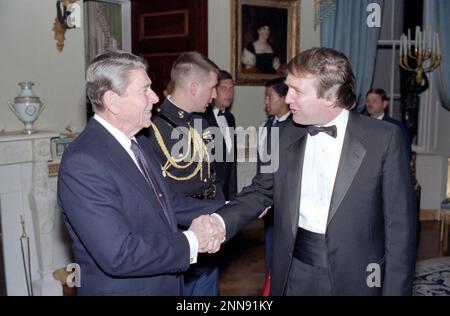 Präsident Ronald Reagan schüttelt Donald Trump bei einem Empfang für Mitglieder der Stiftung "Freunde der Kunst und Bewahrung in Botschaften" im Blauen Zimmer des Weißen Hauses, Washington, DC, 11/3/1987. (Foto vom Fotobüro des Weißen Hauses Stockfoto