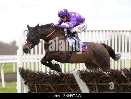 Rubaud, der von Harry Cobden geritten ist, räumt einen Zaun, bevor er die Hürde der Sky Bet Dovecote Novizen auf der Rennbahn Kempton Park in Surrey gewann. Foto: Samstag, 25. Februar 2023. Stockfoto