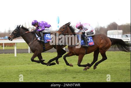 Rubaud Ridted by Harry Cobden (links) gewinnt die Hürde für Neulinge von Sky Bet Dovecote auf der Rennbahn Kempton Park in Surrey. Foto: Samstag, 25. Februar 2023. Stockfoto