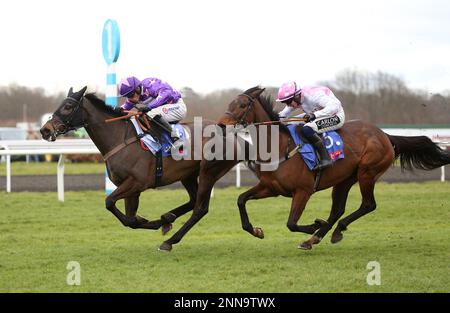 Rubaud Ridted by Harry Cobden (links) gewinnt die Hürde für Neulinge von Sky Bet Dovecote auf der Rennbahn Kempton Park in Surrey. Foto: Samstag, 25. Februar 2023. Stockfoto