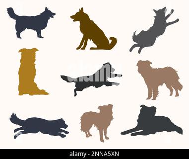 Farbenfrohe Umrandung Collie Verschiedene Posen Silhouette Vector Illustration Stock Vektor