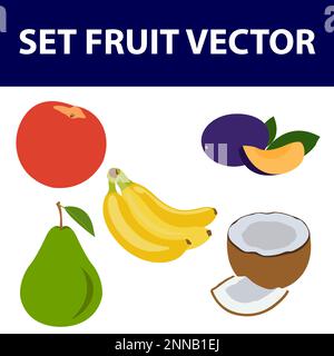 Verschiedene Obstsorten. Alle Arten von frischem, leckerem Obst. Stock Vektor