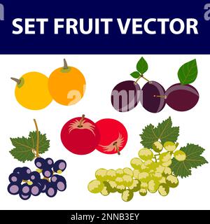 Ein Satz Früchte und Beeren, glänzende Cartoon-Vektordarstellung Stock Vektor
