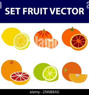 Sammlung von Zitrusscheiben - Orange, Zitrone, Limette und Grapefruit, Symbole gesetzt, farbenfroh isoliert auf weißem Hintergrund, Vektordarstellung. Stock Vektor