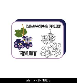 Ein Vektorset Traubenbüschel für Kinder. Spieleseite für Kinder. Stock Vektor