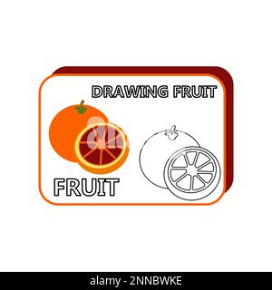 Orangenfrucht, geeignet für die Vektordarstellung der Malseite für Kinder Stock Vektor