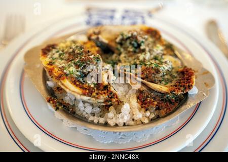Gegrillte Austern mit Knoblauch und Parmesan, Lemon Martini, Antoines Restaurant, French Quarter New Orleans, Louisiana USA, USA Stockfoto