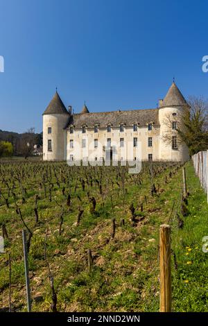 Schloss Savigny-les-Beaune (Chateau de Savigny-les-Beaune), Cote de Nuits, Burgund, Frankreich Stockfoto