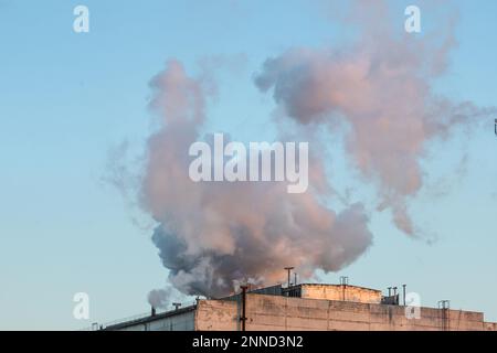 Ziegelschornstein mit weißem Rauch über einem Industriegebäude. Stockfoto